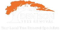 Denison Tree Removal