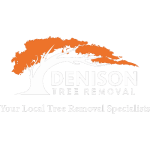 Denison Tree Removal