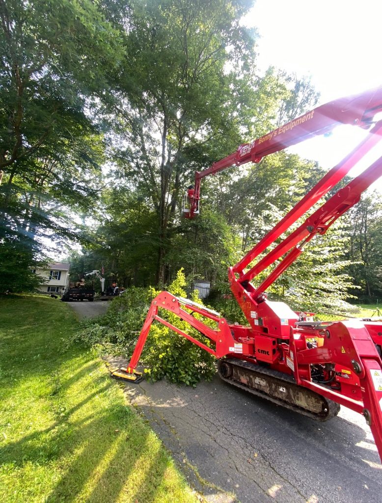 Tree Removal Services