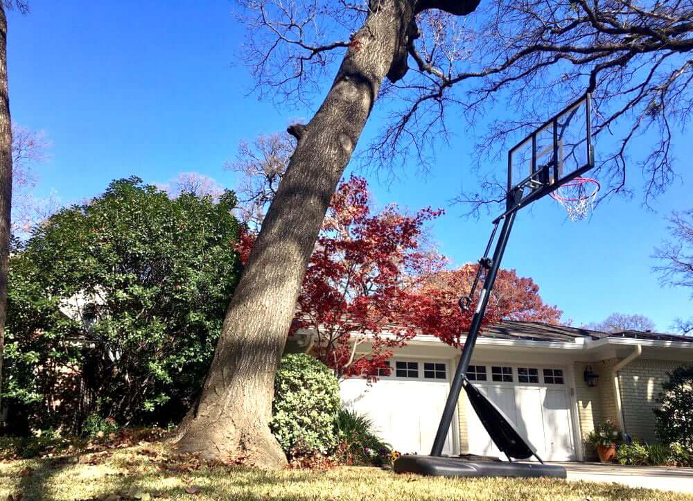 Tree leaning dangerously toward house in Connecticut