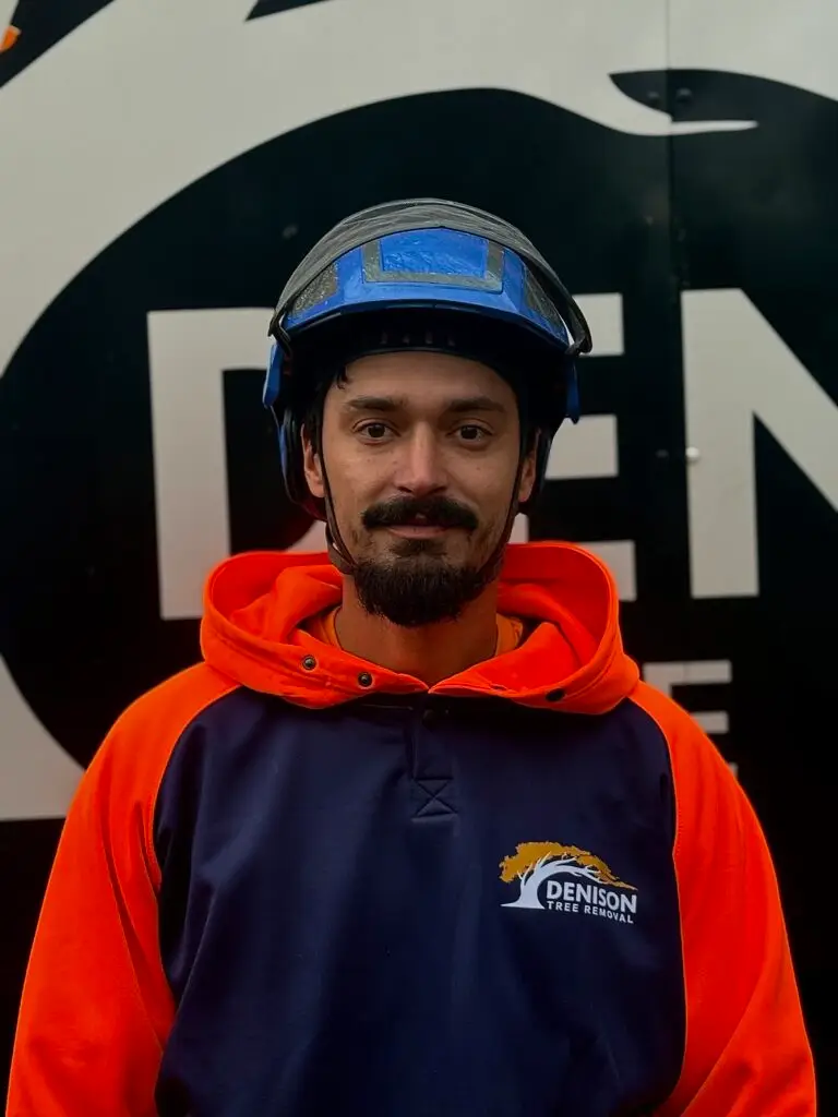 Austin Yeaton Foreman/lead Climber | Denison Tree Removal | Connecticut