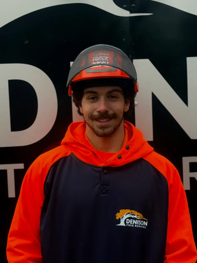 Jaiden Margiotta Groundsman | Denison Tree Removal Connecticut